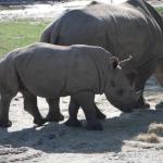 Elliot Zboncak Profile Picture