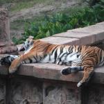 Hollis Legros Profile Picture