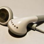 Maddison Rohan Profile Picture