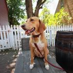 Woodrow Veum Profile Picture