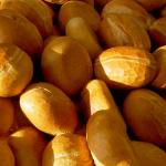 Dan Schowalter Profile Picture