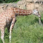 Jadyn Christiansen Profile Picture