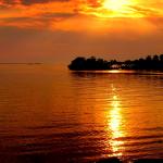 Rosanna Kuhic Profile Picture