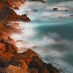 Adolf Fay Profile Picture