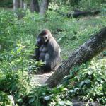 Clotilde Kerluke Profile Picture