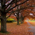 Kiarra Schaefer Profile Picture