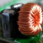 Loma Borer Profile Picture