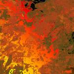 Aurore Greenholt Profile Picture