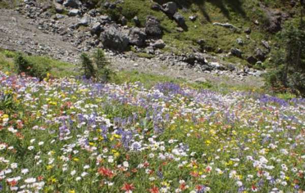 The mild climate in Oceanside provides year round access to nature hiking