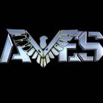 avessecurity Management system Profile Picture