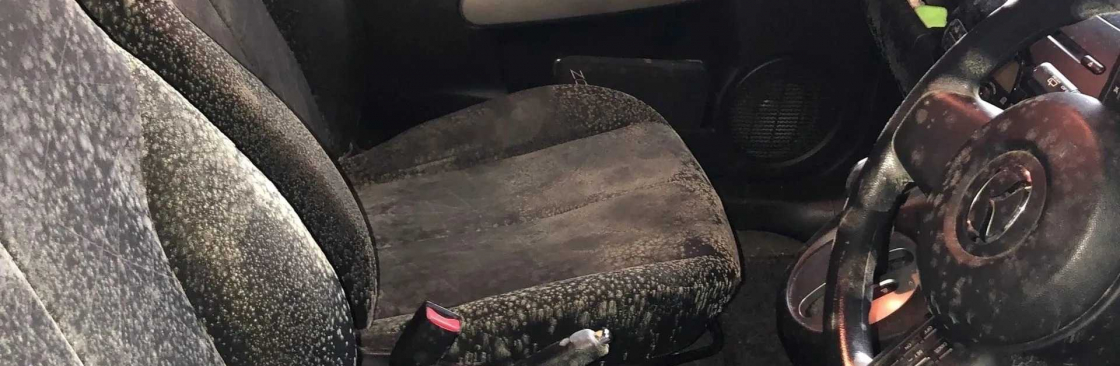 Mould Doctors Cover Image