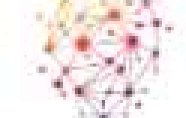 Transforming Businesses Through Award-Winning Business and Technology Consulting