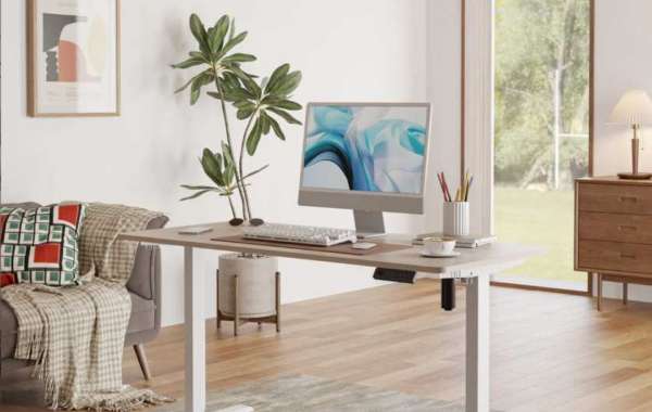 The Ultimate Guide to Choosing the Right Standing